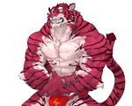 abs big_muscles captainjohkid clothing colored feline flakjacket0204 fundoshi japanese_clothing looking_at_viewer male mammal muscular pecs simple_background tiger underwear white_background 