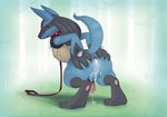 after_sex anus balls butt cum cum_in_ass cum_inside dreiker looking_at_viewer looking_back lucario male nintendo penis pok&eacute;mon presenting red_eyes solo spreading video_games 