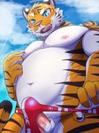  anthro clothing erection feline male mammal penis solo speedo sum_kemono swimsuit tiger 