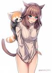  animal animal_ears aruma_jiki blue_eyes blush breasts brown_hair clothes_pull covering covering_crotch facial_mark final_fantasy final_fantasy_xiv large_breasts long_hair looking_at_viewer miqo'te pulled_by_self red_panda ribbed_sweater simple_background solo sweater sweater_pull tail turtleneck white_background 