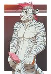  anthro balls barbed_penis biceps blue_eyes erection feline fur grey_fur hair invalid_tag l-i-t-t-l-e_f-i-r-e male mammal muscular navel nipples nude pecs penis pink_hair pink_nose scar smile solo standing stripes white_fur 