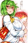  blush bouquet breasts commentary flower green_hair highres kazami_yuuka large_breasts looking_at_viewer open_clothes open_mouth open_vest red_eyes red_flower red_rose roki_(hirokix) rose shirt skirt skirt_set slit_pupils solo touhou translated upper_body vest 