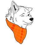  amy0108 arctic_wolf bandanna canine fur mammal one_eye_closed simple_background smile white_fur wink wolf 