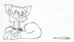  anthro barefoot belt blank_expression cat clothing corpse cub death duo feline female feral greyscale kneeling madeline_(mizzyam) mammal mizzyam monochrome pants pencil_(artwork) rat rodent shirt solo_focus traditional_media_(artwork) young 