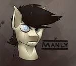  blind equine eye_scar fan_character headshot_portrait heterochromia horse looking_at_viewer male mammal manly marsminer my_little_pony pone_keith pony portrait scar solo 