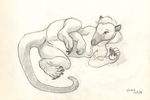  2016 anteater anus breasts female lying mammal nude on_side pussy scale_(artist) sketch small_breasts solo spread_legs spreading tamandua tongue tongue_out 