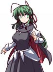  alternate_hair_length alternate_hairstyle antennae breasts cape commentary_request green_eyes green_hair hemogurobin_a1c large_breasts long_hair older smile solo touhou wriggle_nightbug 