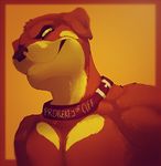  anthro brown_fur brown_nose canine clothed clothing collar fur l-i-t-t-l-e_f-i-r-e looking_at_viewer male mammal pecs simple_background smile solo topless yellow_fur 