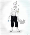  2016 amulet bandage canine clothed clothing crescent digital_media_(artwork) fan_character jewelry kung_fu_panda male mammal pants plejman scar standing topless wolf yunru 