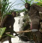  anthro ape baboon balls butt fur hair male male/male mammal monkey nude primate unknown_artist 