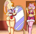  2016 absurd_res amy_rose anthro anus big_breasts big_butt blush breasts butt cleavage clothed clothing dreamcastzx1 duo female hedgehog hi_res lagomorph mammal pussy rabbit sonic_(series) undressing vanilla_the_rabbit video_games walk-in 