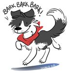 2016 bark border_collie canine collie dizfoley dog feral fur male mammal sayuncle scarf smile solo 
