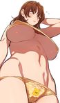  animal_print ashigara_(kantai_collection) bear_panties bear_print breasts brown_eyes brown_hair covered_nipples from_below front-print_panties highres ikarin kantai_collection large_breasts long_hair messy_hair navel panties polka_dot polka_dot_panties print_panties solo transparent_background underboob underwear wavy_hair winnie_the_pooh 