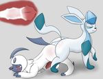  absol anal anal_penetration animal_genitalia animal_penis balls blush canine_penis cum cum_in_ass cum_inside eeveelution erection glaceon knot knotting male male/male nintendo pandashorts penetration penis pok&eacute;mon sex video_games 