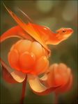  2016 berry better_version_at_source cloudberry dragon food fruit gaudibuendia membranous_wings orange_eyes orange_scales scales wings 