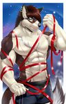  abs anthro bulge canine clothed clothing looking_at_viewer male mammal muscular navel ribbons smile sollyz solo teeth topless wolf 