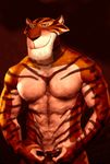  dreamworks feline madagascar male mammal pecs russian solo tiger vitaly_the_tiger 