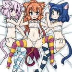  :3 :q andou_mirai animal_ears bed bell blue_eyes blue_hair blush bra brown_hair cat_ears cat_lingerie collar crossover cyan_(show_by_rock!!) fang flat_chest green_eyes holding_hands itsuka_tenma_no_kuro_usagi jingle_bell long_hair lying meme_attire multiple_girls navel neptune_(choujigen_game_neptune) neptune_(series) on_back on_side open_mouth panties pink_hair ponytail purple_eyes rori_(4chan) short_hair show_by_rock!! side-tie_panties smile spread_legs striped striped_legwear tail thighhighs tongue tongue_out underwear untied white_bra white_panties yuri 