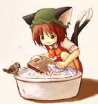  animal_ears bird brown_eyes brown_hair chen eijima_moko eurasian_tree_sparrow hat laundry multiple_tails solo sparrow tail touhou washpan 