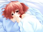  animal_ears bare_shoulders bed blush child collar dog_ears fang game_cg hinata_(pure_pure) indoors lying pillow pure_pure red_eyes red_hair sakurazawa_izumi short_hair solo sweater tears 