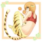  animal_ears bad_id bad_pixiv_id breath_of_fire breath_of_fire_ii food fruit green_eyes holding holding_food holding_fruit orange orange_hair rinpoo_chuan sato_toshiya solo tail tiger_ears tiger_tail 