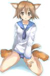  animal_ears brown_eyes brown_hair dog_ears dog_paws dog_tail miyafuji_yoshika no_pants one-piece_swimsuit paws school_swimsuit shiawase_usagi short_hair solo strike_witches swimsuit swimsuit_under_clothes tail world_witches_series 