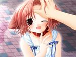  animal_ears blush child collar dog_ears dress fang game_cg happy hinata_(pure_pure) one_eye_closed open_mouth outdoors petting pov pure_pure red_hair ribbon sakurazawa_izumi short_hair solo_focus sundress 