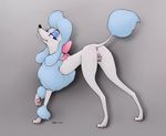  2016 anatomically_correct anatomically_correct_pussy animal_genitalia animal_pussy anus canine canine_pussy disney dog ecmajor female georgette mammal oliver_and_company poodle pussy solo 