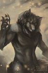  canine dust fur mammal namisis_(artist) shadow_wolf were werewolf wind wolf 