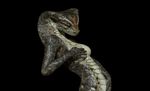  3d_(artwork) breasts cgi digital_media_(artwork) female hattonslayden reptile scalie snake solo 