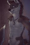  2014 anthro blue_eyes canine coyote dog_tags looking_at_viewer male mammal muscular nayel-ie nude smile solo standing wolf 
