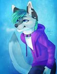  2014 anthro blue_eyes canine clothed clothing collar dipstick_tail ear_piercing girly grin hoodie male mammal multicolored_tail nayel-ie piercing solo standing wolf 