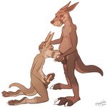  balls brothers incest kangaroo male male/male mammal marsupial oral penis shysketch sibling 