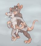  anal balls body_hair cartoon cum male male/male mammal penis rat rats rodent shysketch size_difference 