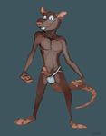  clothing jockstrap male mammal penis rat rodent shysketch solo underwear 