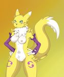  anthro areola blue_eyes breasts digimon female hands_on_hips mochaconcoctions nipples pubes pussy renamon solo 