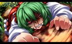  angry blood blood_on_face clenched_teeth dutch_angle flower green_hair kazami_yuuka letterboxed long_sleeves looking_at_viewer lying on_ground on_stomach plaid plaid_skirt plaid_vest red_eyes ringed_eyes shaded_face shirt short_hair skirt skirt_set solo teeth touhou vest yagami_(mukage) 