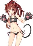  :o angry animal_ears bangs battle_girl_high_school black_bra black_panties blush bra breasts brown_eyes brown_hair cat_cutout cat_ear_panties cat_ears cat_lingerie cat_tail cleavage cleavage_cutout cowboy_shot gloves groin hair_ribbon high_ponytail himukai_yuri hips long_hair looking_at_viewer meme_attire navel panties paw_gloves paws ponytail ribbon side-tie_panties simple_background small_breasts solo standing string_panties sweatdrop tail unacchi_(nyusankin) underwear underwear_only v-shaped_eyebrows wavy_mouth white_background 