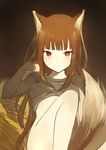  animal_ears bad_id bad_tumblr_id bangs between_legs blunt_bangs bottomless brown_background brown_hair hand_in_hair hips holo long_hair looking_at_viewer lpip midriff naked_shirt no_panties red_eyes shirt shirt_lift sidelocks simple_background smile solo spice_and_wolf tail tail_between_legs thighs tsurime very_long_hair wolf_ears wolf_girl wolf_tail 