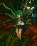  amayadori-tei antennae bug butterfly butterfly_wings cape centipede full_body green_eyes green_hair image_sample insect insect_wings lantern long_sleeves looking_at_viewer shirt shoes short_hair shorts sitting socks solo staff touhou twitter_sample wings wriggle_nightbug 