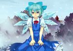  angry bad_id bad_pixiv_id blue_eyes blue_hair blush bow cirno crying crying_with_eyes_open dress face hair_bow short_hair solo tears touhou wings zanunoneko 