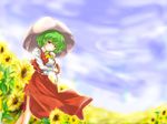  ascot blouse breasts cloud day field fisheye flower flower_field green_hair highres kazami_yuuka medium_breasts nature parasol plaid plaid_skirt plaid_vest red_eyes red_star_(toranecomet) short_hair skirt skirt_set sky solo sunflower touhou umbrella unmoving_pattern vest 