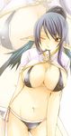  asato_awoi bikini blue_hair blush breasts covered_nipples elf hair_in_mouth judith large_breasts navel one_eye_closed pointy_ears red_eyes swimsuit tales_of_(series) tales_of_vesperia wet 
