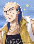  artist_name bald blue_eyes blue_hair character_name garo_(tear_ring_saga) harushino image_sample lowres male_focus pixiv_sample scar solo sparkle tear_ring_saga 