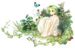  bad_id bad_pixiv_id bare_shoulders barefoot bug butterfly dress grass green_hair highres insect legs mouse original plant short_hair simple_background sitting solo sundress tb_(lycoris13) vines white_background yellow_eyes 