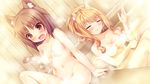  2girls animal_ears azuki_(sayori) bath cat_smile catgirl fang game_cg maple_(sayori) navel nekopara nude possible_duplicate sayori tail 