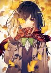  autumn autumn_leaves bangs blurry blush bow bowtie brown_hair coat covered_eyes crying depth_of_field falling_leaves ginkgo ginkgo_leaf leaf long_hair looking_at_viewer open_clothes open_coat original oshio_(dayo) plaid plaid_scarf red_scarf scarf school_uniform smile solo sweater tears upper_body wind yellow_eyes 