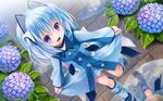  1000-chan blue_hair boots flowers hoodie oizumi purple_eyes rain sanshou short_hair water 
