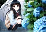  black_hair blue_eyes flowers kazuharu_kina kneehighs long_hair original rain seifuku umbrella water watermark 