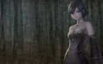  black_hair choker dark dress gray_eyes kanzeon lineage lineage_2 necklace photoshop short_hair tagme_(character) 